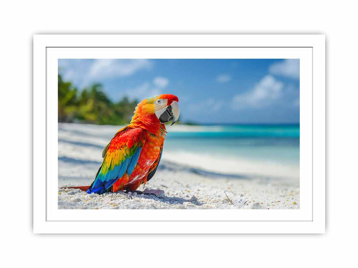 Tropical Parrot  Streched canvas