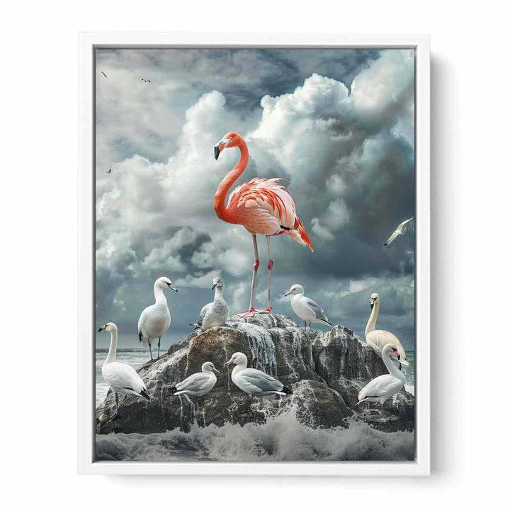 Flamingo  Framed Print