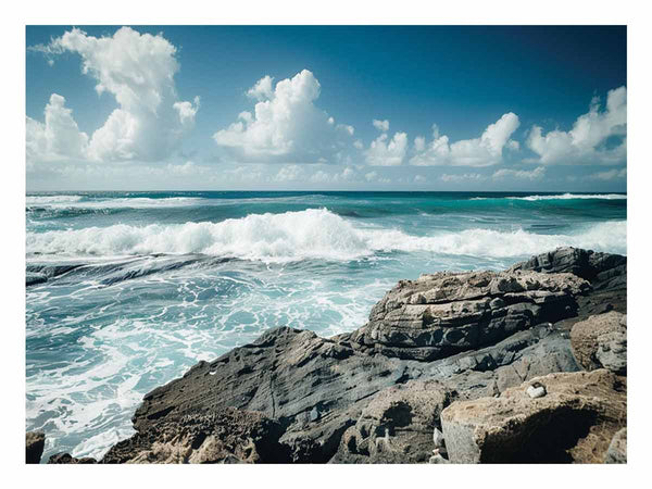 Snapper Rocks 