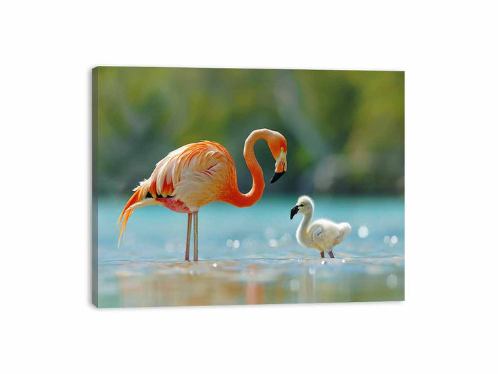 Flamingo Mother Canvas Print