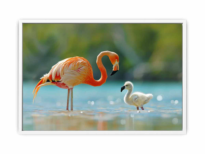 Flamingo Mother Framed Print