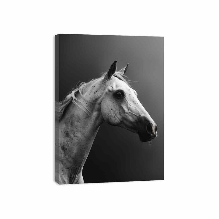 Horse Canvas Print