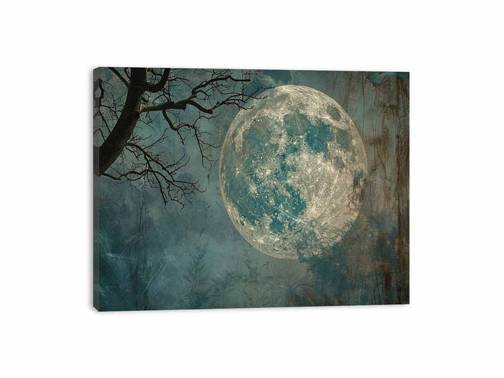 Moon  Canvas Print