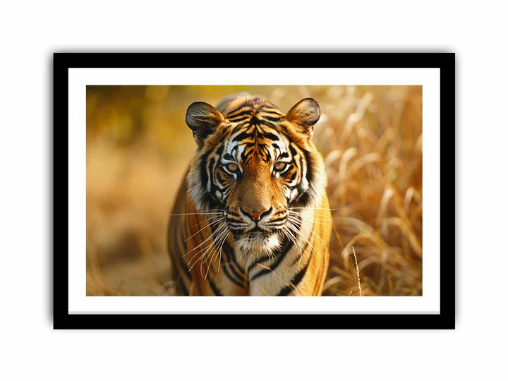 Bengal Tiger   Art Print