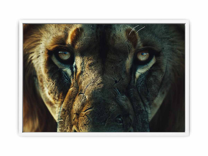 Lion  Framed Print