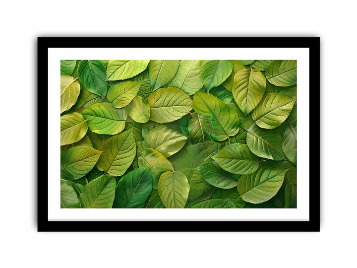 Green Leaves   Art Print