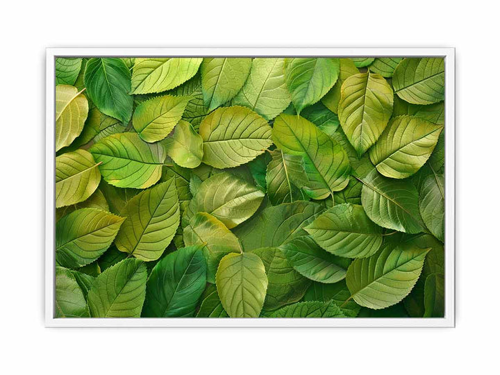 Green Leaves  Framed Print