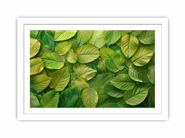 Green Leaves  Streched canvas