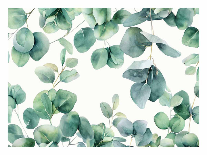 Eucalyptus Leaves