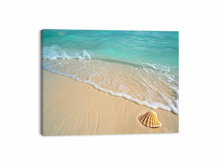 SHell  Canvas Print