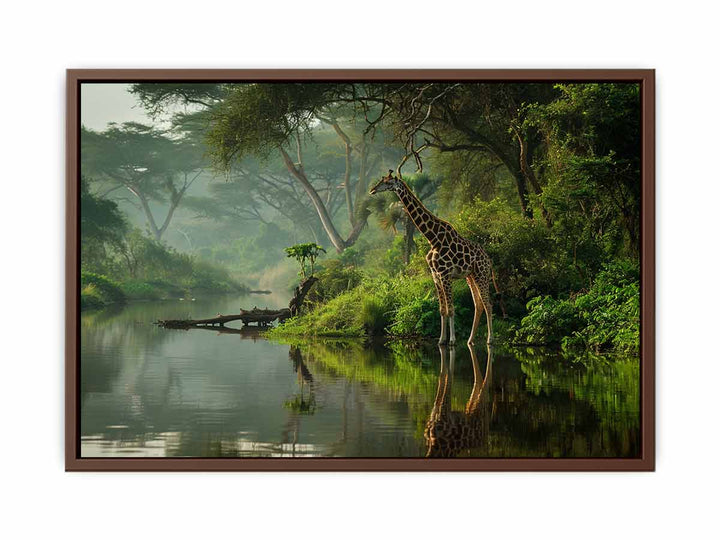 Giraffe in Africa  Poster