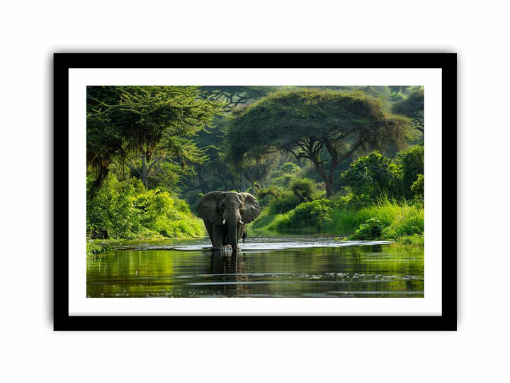 African Bush  Elephant   Art Print