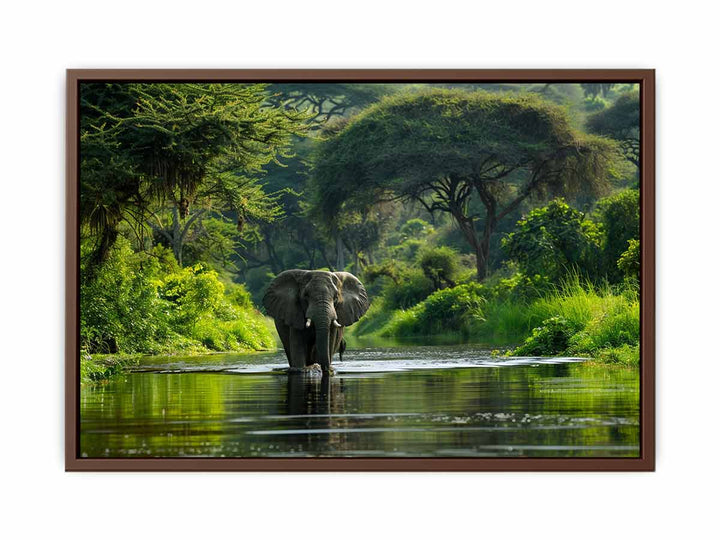 African Bush  Elephant   Poster