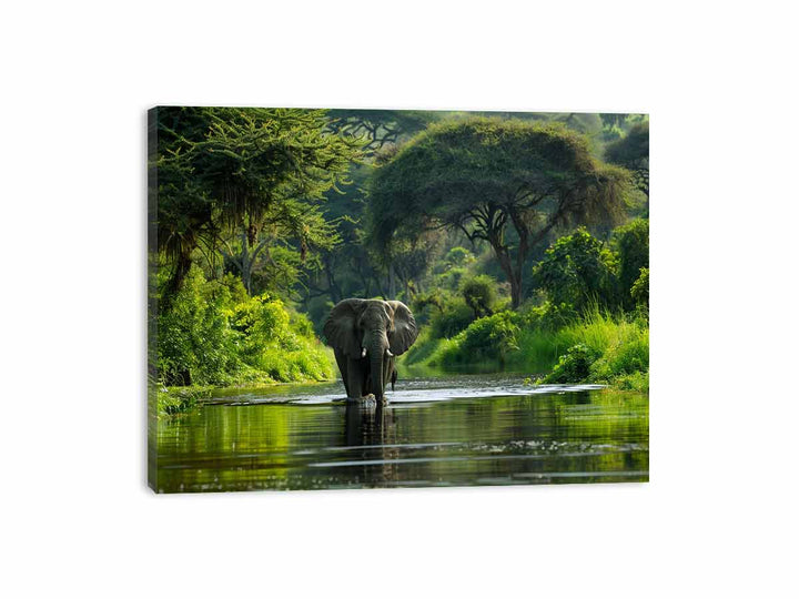 African Bush  Elephant  Canvas Print