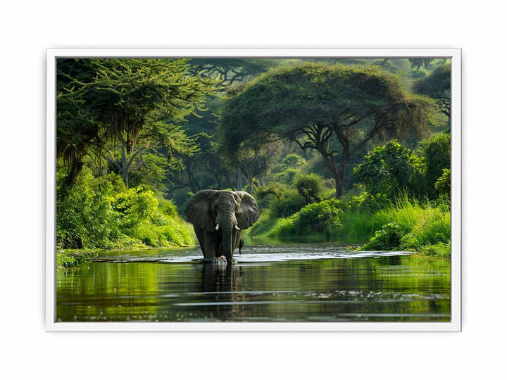 African Bush  Elephant  Framed Print