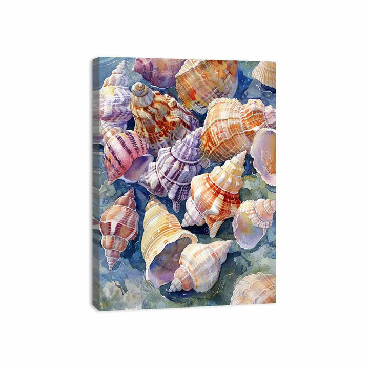 SHell  Canvas Print