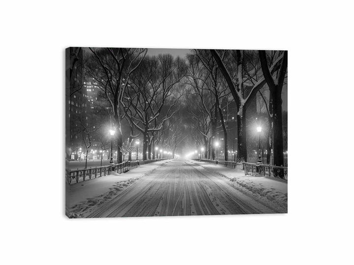 Central Park  Canvas Print