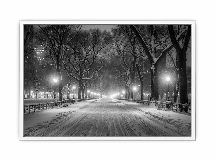 Central Park  Framed Print