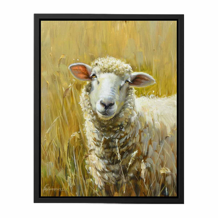 Sheep  Painting