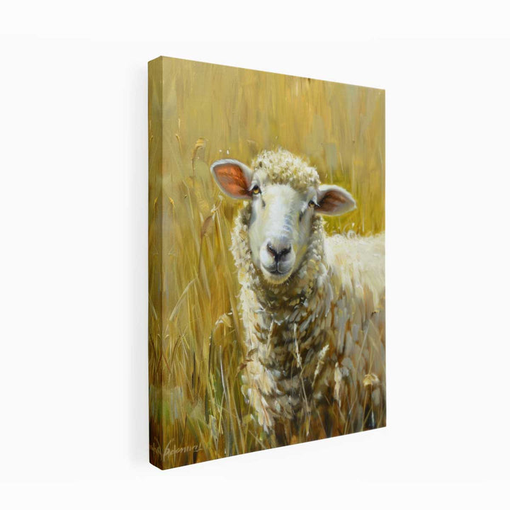 Sheep Canvas Print