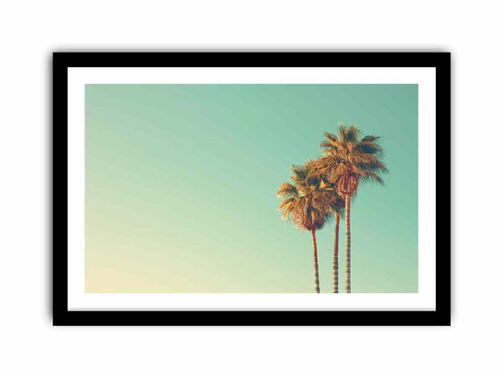 Palm Trees   Art Print