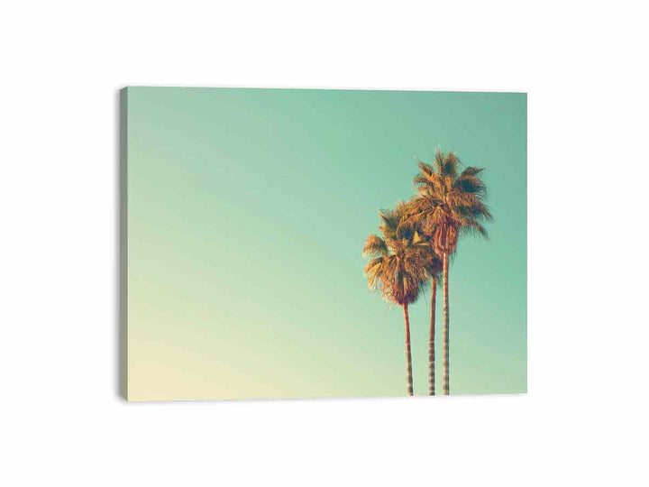 Palm Trees  Canvas Print