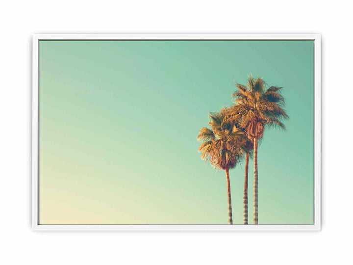 Palm Trees  Framed Print