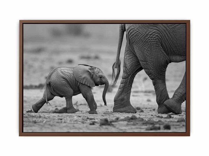 Baby Elephant    Poster