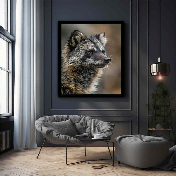 Racoon Dog 