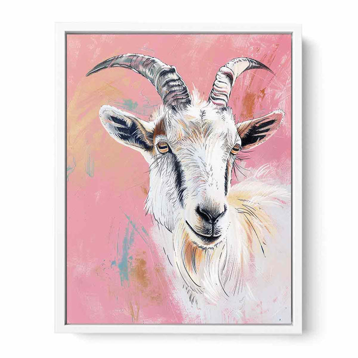 Sheep  Framed Print