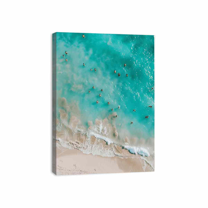 Swim  Canvas Print