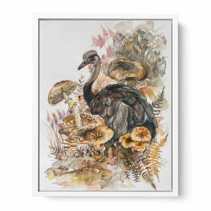 Ostrich  Framed Print