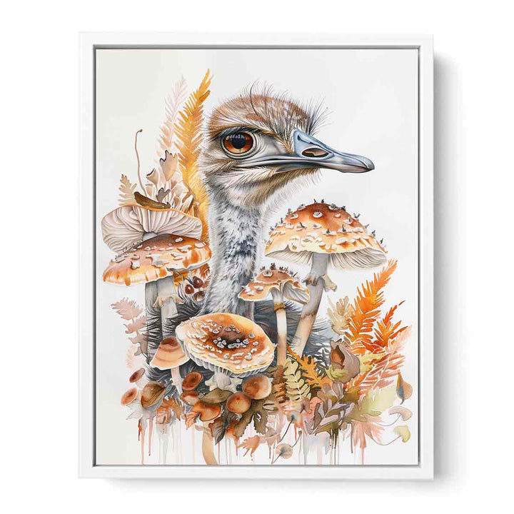 Ostrich  Framed Print