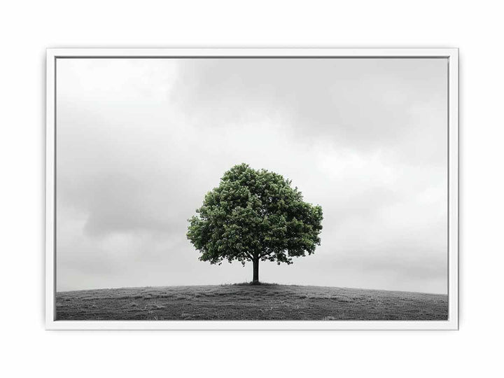 Green Tree Framed Print