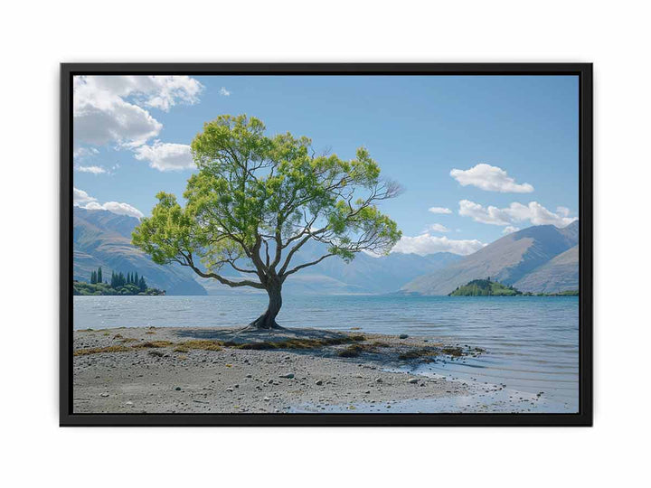 That Wanaka Tree  Painting