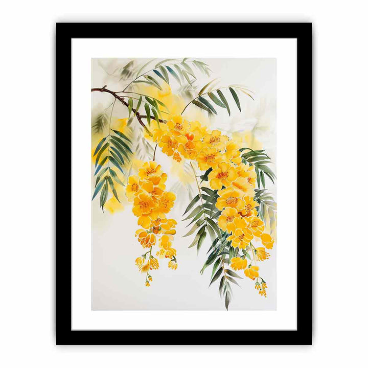 Acacia  Art Print