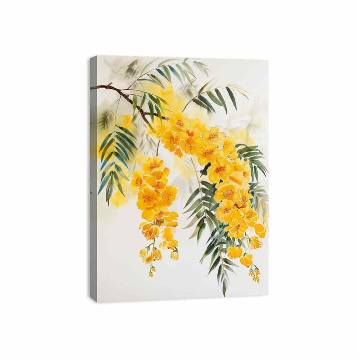 Acacia Canvas Print