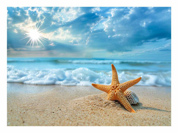 Starfish on Beach 