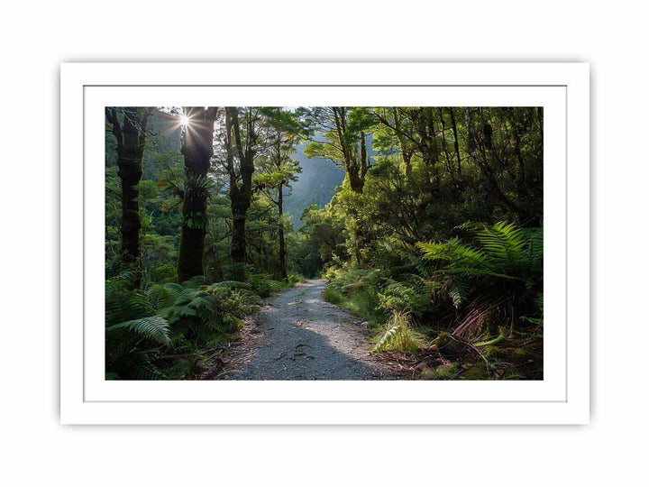 MIlford  Track Streched canvas