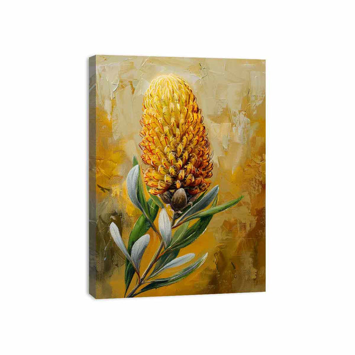 Banksia Canvas Print