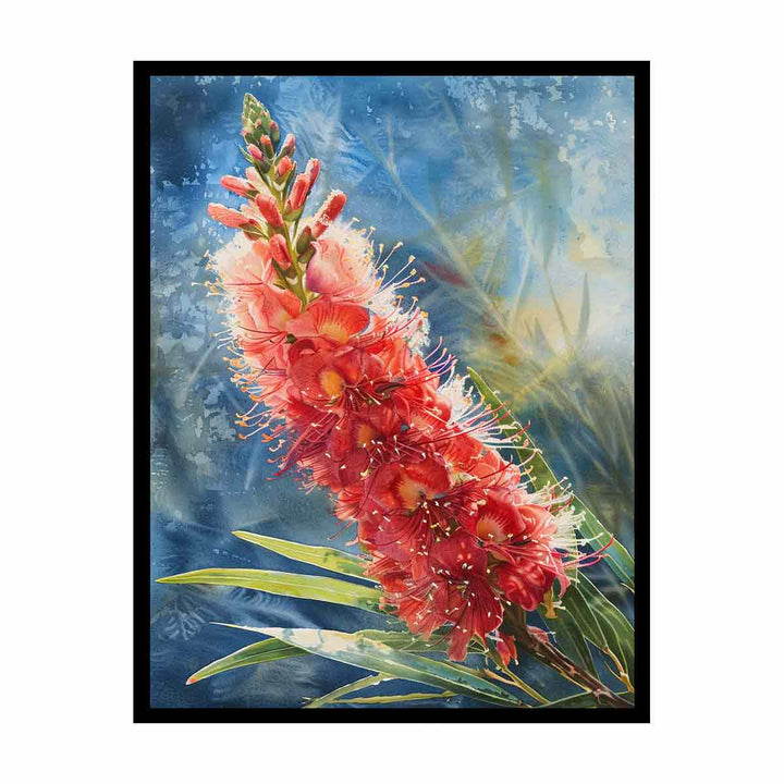 Callistemon Flower  Painting