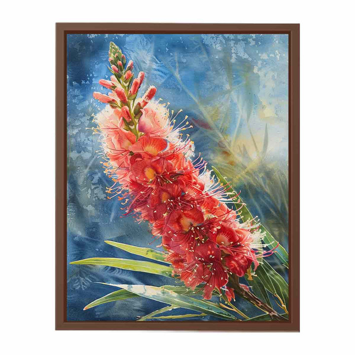 Callistemon Flower  Poster