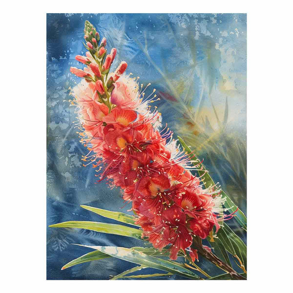 Callistemon Flower