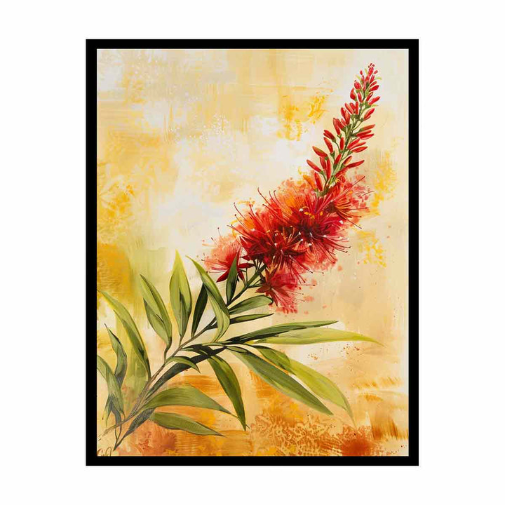 Callistemon   Painting