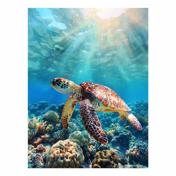 Turtle In  Sea 