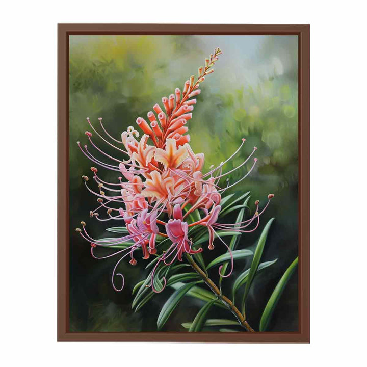 Grevillea Flower  Poster