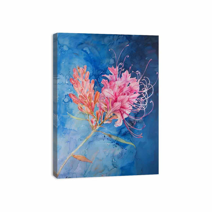 Grevillea  Canvas Print