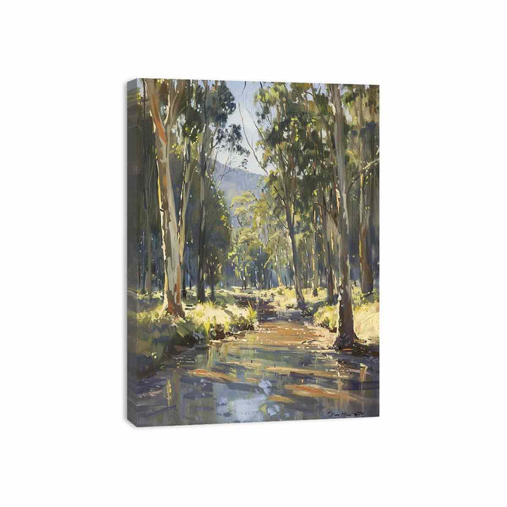 Beautiful Creek Canvas Print