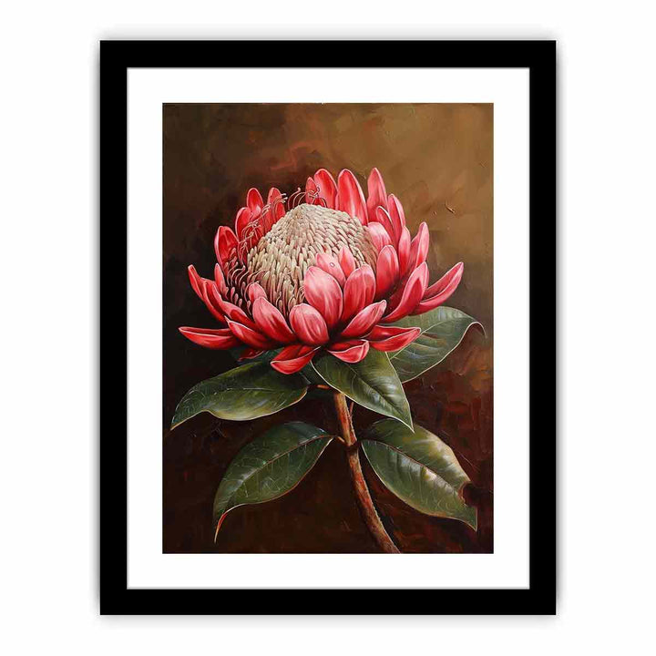 Waratah   Art Print