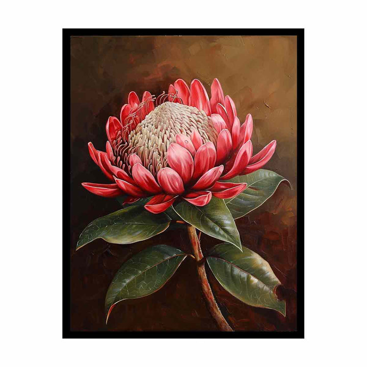 Waratah   Painting